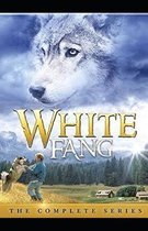 White Fang Illustrated