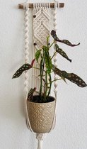 Macramé plantenhanger - planthanger wanddecoratie - 057 Ecru