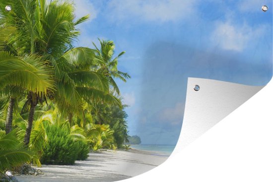 Affiche de jardin Tropical - Palmiers sur une plage tropicale photo 180x120 cm - Toile de jardin / Toile d'extérieur / Peintures d'extérieur (décoration de jardin) XXL / Groot format!