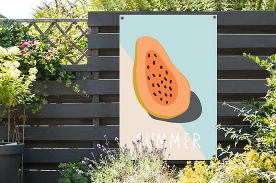 Illustration d'une papaye sur fond pastel affiche de jardin toile en vrac 80x120 cm - Toile de jardin / Toile d'extérieur / Peintures d'extérieur (décoration de jardin)
