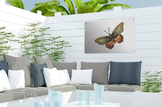 Décoration de jardin Vintage - Papillon - Marron - 60x40 cm - Affiche de jardin - Toile de jardin - Affiche extérieure