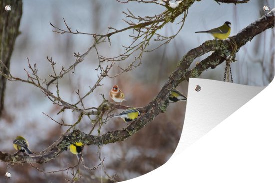 Foto: Tuindecoratie vogelhuisje met vogels 60x40 cm tuinposter tuindoek buitenposter