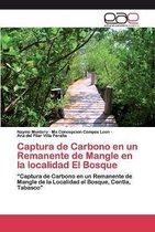 Captura de Carbono en un Remanente de Mangle en la localidad El Bosque