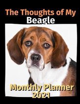 The Thoughts of My Beagle
