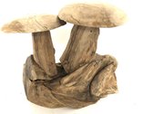 Teak houten Paddestoel | Mushroom double teak