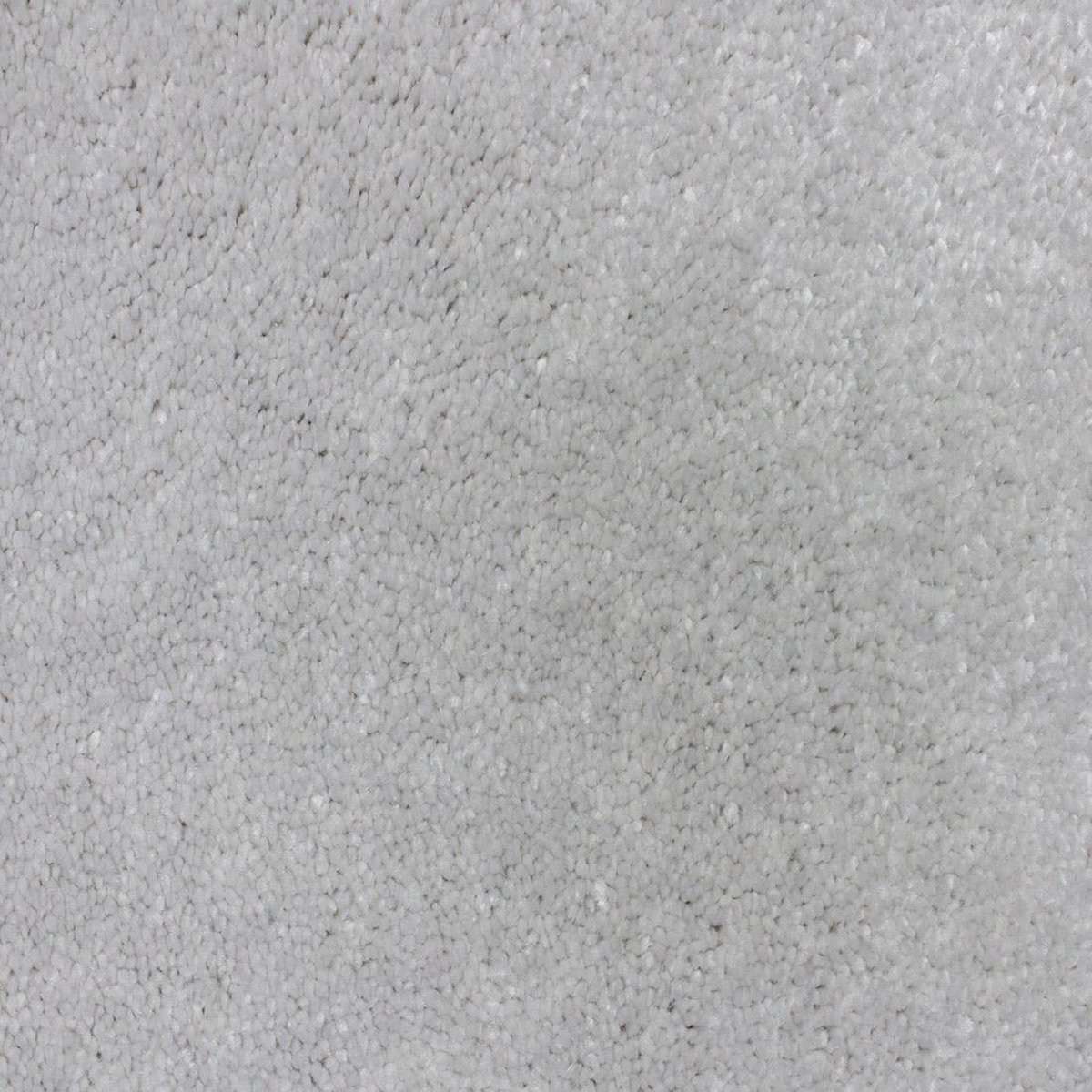 Vloerkleed Xilento Soft Pristine | 200 x 300 cm