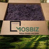 MosBiz Rendiermos Aubergine 2 laags (2,6 kilo) voor decoraties, schilderijen en mos wanden