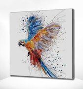 Painting Expert® Schilderen op nummer Volwassenen – Schilderen op nummer Kinderen - Vogel - 40x50cm - Op Lijst Gemonteerd (24 kleurtjes)