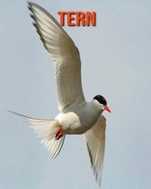 Tern