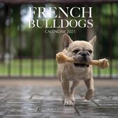 French Bulldogs Calendar 2021