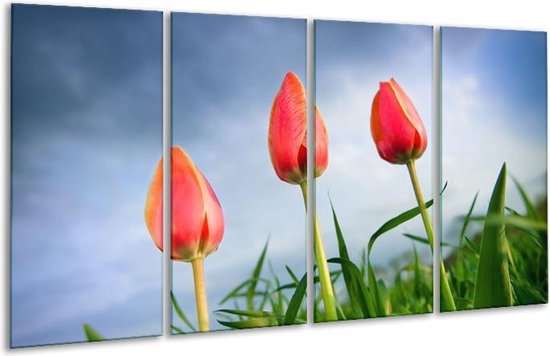 Peinture sur verre tulipes | Rouge, bleu, vert | 160x80cm 4 Liège | Tirage photo sur verre |  F002856
