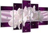 Glasschilderij Orchidee - Wit, Paars - 170x100cm 5Luik - Foto Op Glas - Geen Acrylglas Schilderij - 6000+ Glasschilderijen Collectie - Wanddecoratie