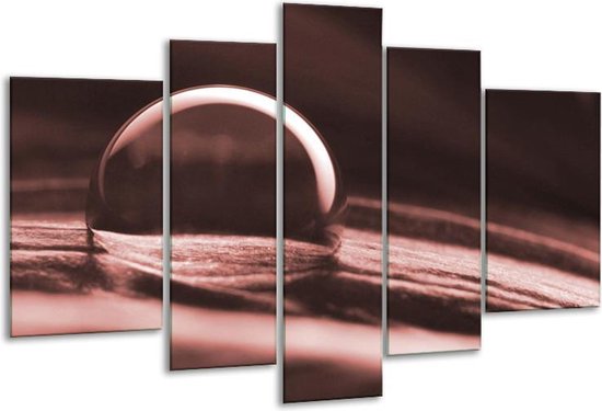 Glasschilderij Macro - Bruin, Rood - 170x100cm 5Luik - Foto Op Glas - Geen Acrylglas Schilderij - 6000+ Glasschilderijen Collectie - Wanddecoratie