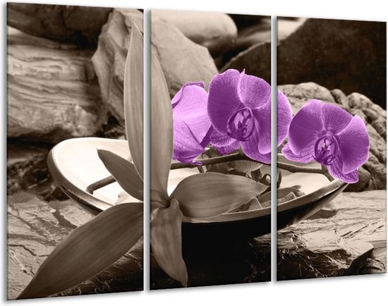 Peinture sur verre d'orchidée | Violet, gris | 120x80cm 3 Liège | Tirage photo sur verre |  F004578