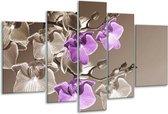 Glasschilderij Orchidee - Bruin, Paars - 170x100cm 5Luik - Foto Op Glas - Geen Acrylglas Schilderij - 6000+ Glasschilderijen Collectie - Wanddecoratie
