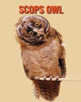 Scops Owl