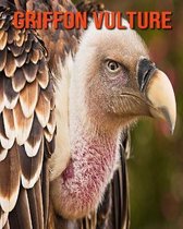 Griffon Vulture