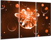 GroepArt - Schilderij -  Bloem - Oranje, Bruin, Wit - 120x80cm 3Luik - 6000+ Schilderijen 0p Canvas Art Collectie