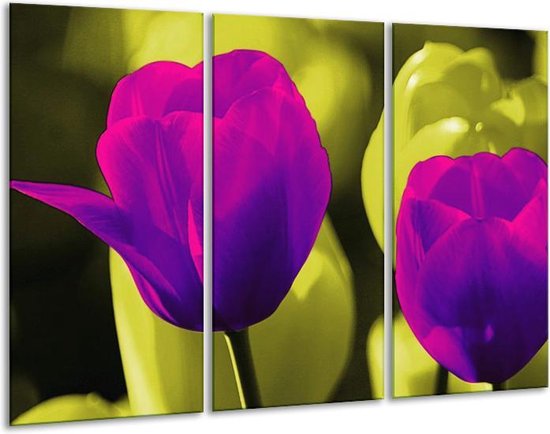 GroepArt - Schilderij -  Tulp - Paars, Groen, Wit - 120x80cm 3Luik - 6000+ Schilderijen 0p Canvas Art Collectie