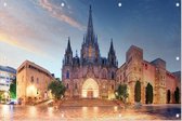 Kathedraal van het Heilig Kruis en Sint Eulalia in Barcelona - Foto op Tuinposter - 150 x 100 cm