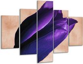 Glasschilderij Tulp | Paars, Bruin, Wit | 100x70cm 5Luik | Foto print op Glas |  F003801
