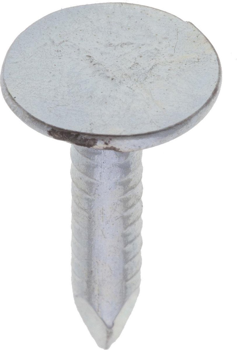 Asfaltnagel. 3.0x20mm. lang. 50 stuks Kopspijkers. gegalvaniseerd. I-fix.