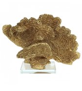 ORNAMENT CORAL POLYRESIN GOLD