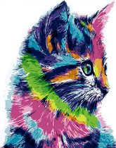 Schilderen Op Nummer Volwassenen - Dieren - Kat - Poes - 40 x 50 - Opgerolde, kreukvrije canvas -  Met Opspan Frame Lijst