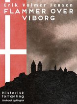 Flammer over Viborg