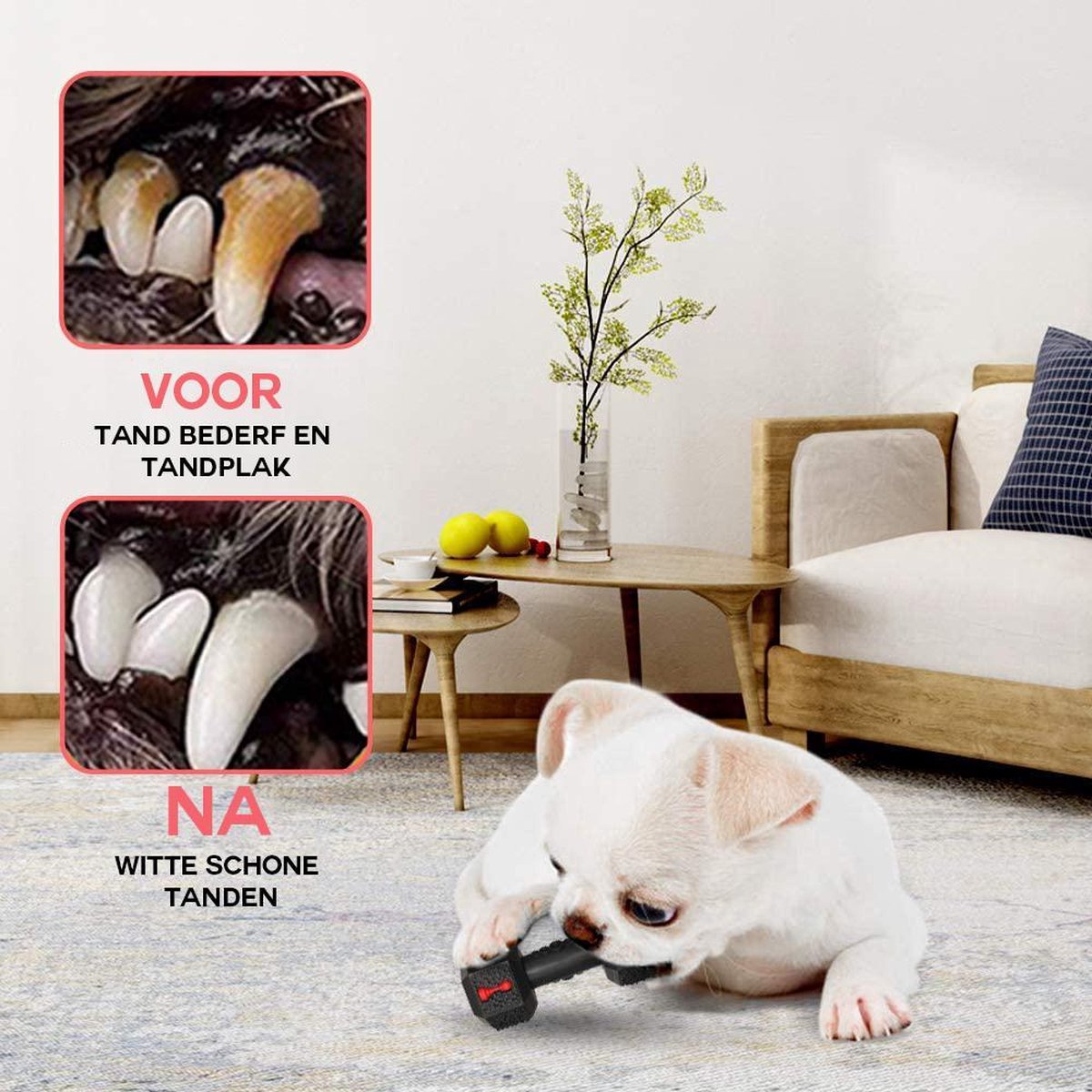 PetPetrol Honden speelgoed -Dumbbell -Geschikt voor kleine en middelgrote honden- Tanden schoonmaken- Kauwen- Haltervorm- Zwart- Natuurrubber met Baconsmaak — afbeelding 3