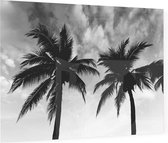 2 Palmbomen zwart wit - Foto op Plexiglas - 60 x 40 cm