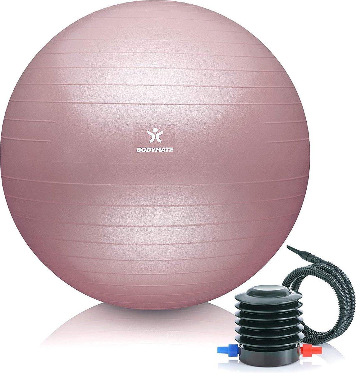 Swiss Ball - Gymnastiekbal incl. Pomp - Fitness Yoga Core - 65 cm voor Lichaamslengte 155-175cm