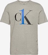 Calvin Klein Heren T-shirt Logo Grijs-L