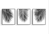Poster Set 3 Palmboom bladeren Zwart / Wit - Tropisch Blad - Planten Poster - Muurdecoratie - 70x50cm - PosterCity