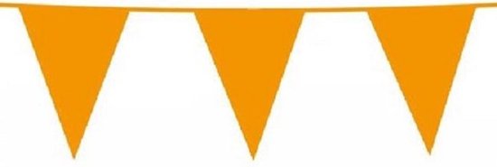 Vlaggenlijn Oranje 10m 20x30cm - Slingers - Koningsdag - EK versiering - WK versiering