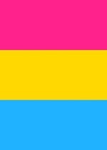 Pansexual Pride Flag Journal