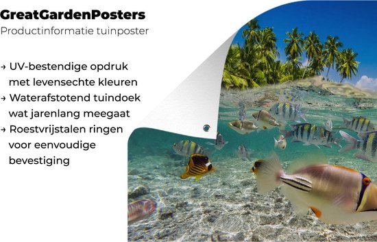 Tuinposter 120x80 cm - Tuindecoratie Strand - Vissen - Tropisch - Poster voor in de tuin - Buiten decoratie - Schutting tuinschilderij - Tuindoek muurdecoratie - Wanddecoratie balkondoek