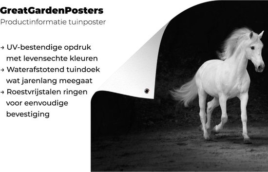 Tableau de jardin Paarden - Sable - Foncé - 80x60 cm - Affiche jardin - Toile jardin - Affiche extérieur