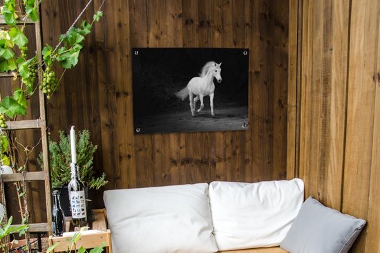 Tableau de jardin Paarden - Sable - Foncé - 80x60 cm - Affiche jardin - Toile jardin - Affiche extérieur