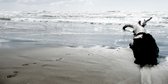 Tuinposter - Zee / Water - Strand in wit / grijs / zwart - 60 x 120 cm