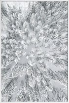 JUNIQE - Poster in kunststof lijst Snowy Forests -40x60 /Grijs & Wit