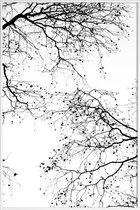 JUNIQE - Poster met kunststof lijst Black Branches 2 -40x60 /Wit &