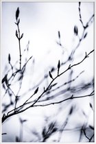 JUNIQE - Poster met kunststof lijst Winter Branches 2 -20x30 /Wit &