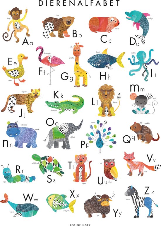Poster - Dierenalfabet poster 50x70cm - Dieren alfabet poster- Educatief dierenABC - kinderkamer - dieren poster