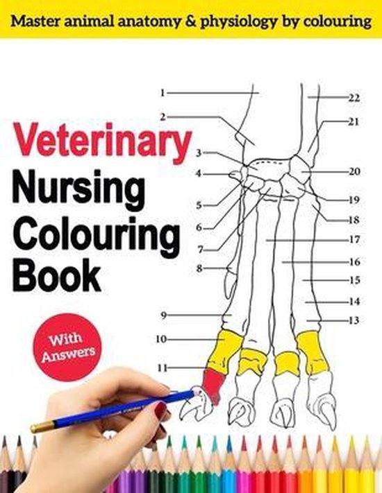 Veterinary Nursing Colouring Book Master Animal Anatomy and