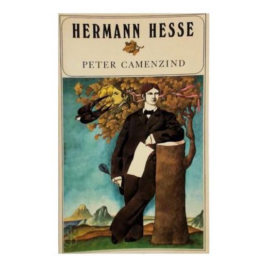 9789029519038 - Peter camenzind