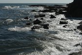 Tuinposter - Zee / Water / Strand - Strand in bruin / blauw / beige / wit / zwart - 120 x 180 cm.