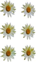 Onderzetter - Madeliefjes - Transparant - Kunststof - 10 X 10 cm - Set van 6