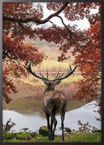 Poster Met Zwarte Lijst - Red Deer Poster