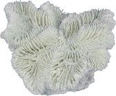 Aqua Della Fungia Koraal - Aquarium - Ornament - 12x12x5 cm Wit